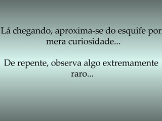 Lá chegando, aproxima-se do esquife por  mera curiosidade... De repente, observa algo extremamente  raro... 