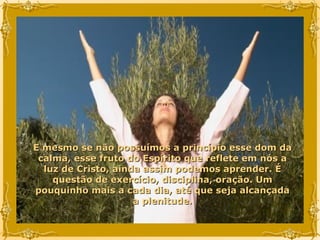 E mesmo se não possuímos a princípio esse dom da calma, esse fruto do Espírito que reflete em nós a luz de Cristo, ainda assim podemos aprender. É questão de exercício, disciplina, oração. Um pouquinho mais a cada dia, até que seja alcançada a plenitude. 