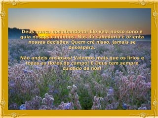 Deus nunca nos abandona! Ele vela nosso sono e guia nossos caminhos. Nos dá sabedoria e orienta nossas decisões. Quem crê nisso, jamais se desespera. Não andeis ansiosos! Valemos mais que os lírios e todas as flores do campo! E Deus tem sempre cuidado de nós! 