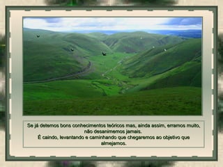  
Se já detemos bons conhecimentos teóricos mas, ainda assim, erramos muito,Se já detemos bons conhecimentos teóricos mas, ainda assim, erramos muito,
não desanimemos jamais.não desanimemos jamais.
É caindo, levantando e caminhando que chegaremos ao objetivo queÉ caindo, levantando e caminhando que chegaremos ao objetivo que
almejamos.almejamos.
 