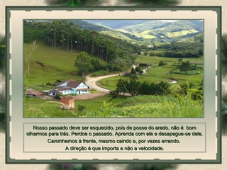  
Nosso passado deve ser esquecido, pois de posse do arado, não é bomNosso passado deve ser esquecido, pois de posse do arado, não é bom
olharmos para trás. Perdoe o passado. Aprenda com ele e desapegue-se dele.olharmos para trás. Perdoe o passado. Aprenda com ele e desapegue-se dele.
Caminhemos à frente, mesmo caindo e, por vezes errando.Caminhemos à frente, mesmo caindo e, por vezes errando.
A direção é que importa e não a velocidade.A direção é que importa e não a velocidade.
 