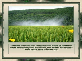  
Se estamos no caminho certo, prossigamos nossa marcha.Se estamos no caminho certo, prossigamos nossa marcha. Se perceber queSe perceber que
está se tornando uma pessoa mais amorosa, mais tolerante, mais caridosa eestá se tornando uma pessoa mais amorosa, mais tolerante, mais caridosa e
menos violenta, estará no caminho certo.menos violenta, estará no caminho certo.
 