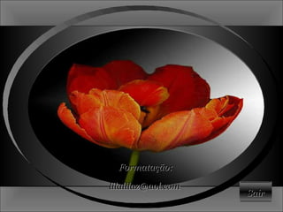 Sair Formatação: lilalilaz@aol.com  