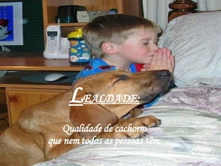 L EALDADE: Qualidade de cachorro  que nem todas as pessoas têm. 