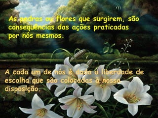 As pedras ou flores que surgirem, são
consequências das ações praticadas
por nós mesmos.
A cada um de nós é dada a liberdade de
escolha que são colocadas à nossa
disposição.
 