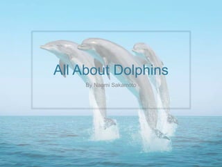 All About Dolphins
By Naomi Sakamoto
 
