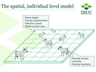 8 
Grass height 
Faecal contamination 
Infective Larvae 
Distance from cow 
Parasite burden 
Immunity 
Grazing decisions 
The spatial, individual level model  