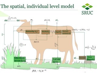 9 
i(k) 
Stomach 
contents (sk) 
Faeces(fi) 
J(k) 
Adults(AkImmunity (r ) k) 
Infectious 
larvae (L3i) 
Larvae 
(L1i) 
Eggs(Ek) 
qL1i 
ωL1i 
patch cow 
φfi 
ρL3i 
fi 
i h h e    (  ) 0 
k r k k (r )A εEk 
Grass 
height(hi) 
The spatial, individual level model 
 