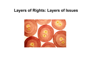 Layers of Rights: Layers of Issues
 