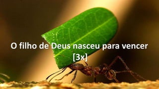 O filho de Deus nasceu para vencer
[3x]
 