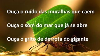 Ouça o ruído das muralhas que caem
Ouça o som do mar que já se abre
Ouça o grito de derrota do gigante
 