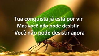 Tua conquista já está por vir
Mas você não pode desistir
Você não pode desistir agora
 