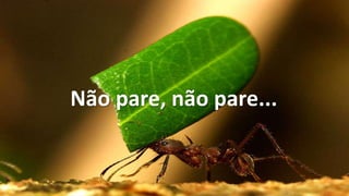 Não pare, não pare...
 