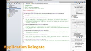 Application Delegate
 