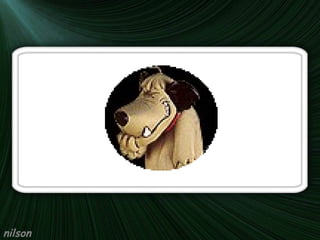 nilson 