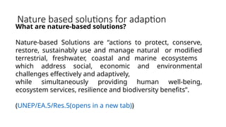 National Adaptation Plan National Adaptation Plan.pptx