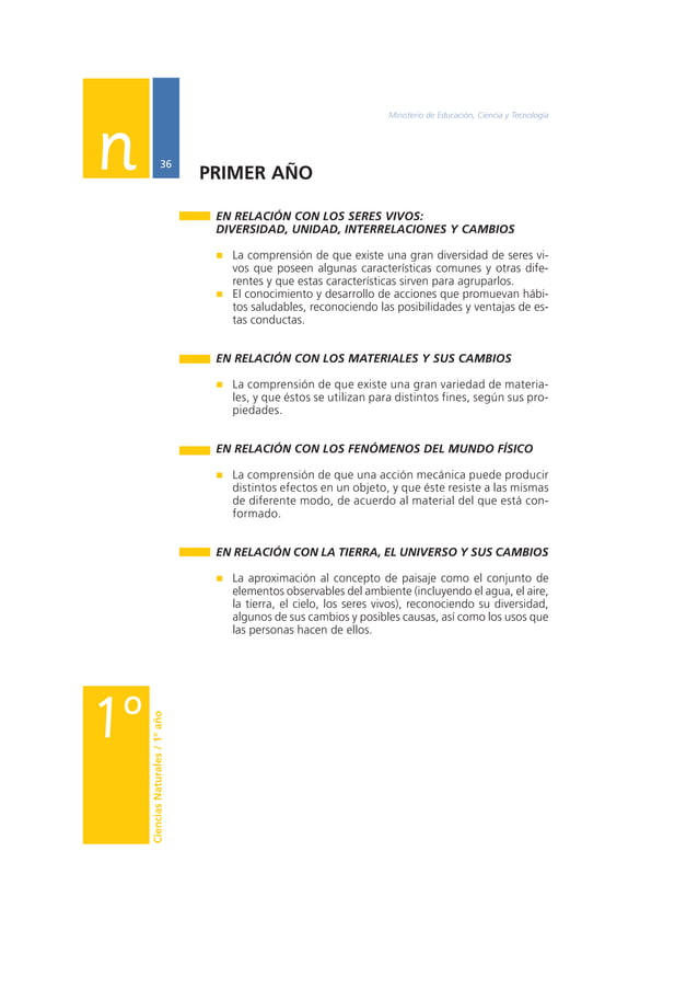 Nap Primer cicloprimario