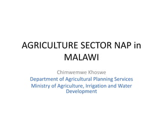 AGRICULTURE SECTOR NAP in
MALAWI
Chimwemwe Khoswe
Department of Agricultural Planning Services
Ministry of Agriculture, Irrigation and Water
Development
 
