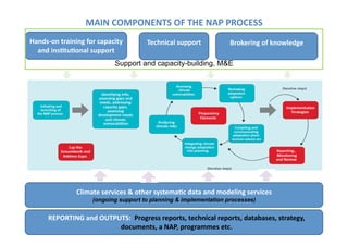 MAIN	
  COMPONENTS	
  OF	
  THE	
  NAP	
  PROCESS	
  
Hands-­‐on	
  training	
  for	
  capacity	
  
and	
  insEtuEonal	
  support	
  
Technical	
  support	
   Brokering	
  of	
  knowledge	
  
Support and capacity-building, M&E
Climate	
  services	
  &	
  other	
  systemaEc	
  data	
  and	
  modeling	
  services	
  
(ongoing support to planning & implementation processes)
REPORTING	
  and	
  OUTPUTS:	
  	
  Progress	
  reports,	
  technical	
  reports,	
  databases,	
  strategy,	
  
documents,	
  a	
  NAP,	
  programmes	
  etc.	
  
 