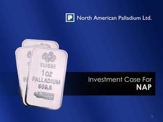 Investment Case For
              NAP


                  14
 