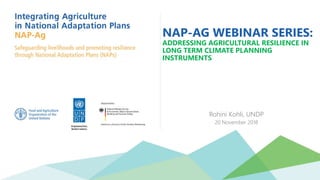 NAP-AG WEBINAR SERIES:
ADDRESSING AGRICULTURAL RESILIENCE IN
LONG TERM CLIMATE PLANNING
INSTRUMENTS
Rohini Kohli, UNDP
20 November 2018
 