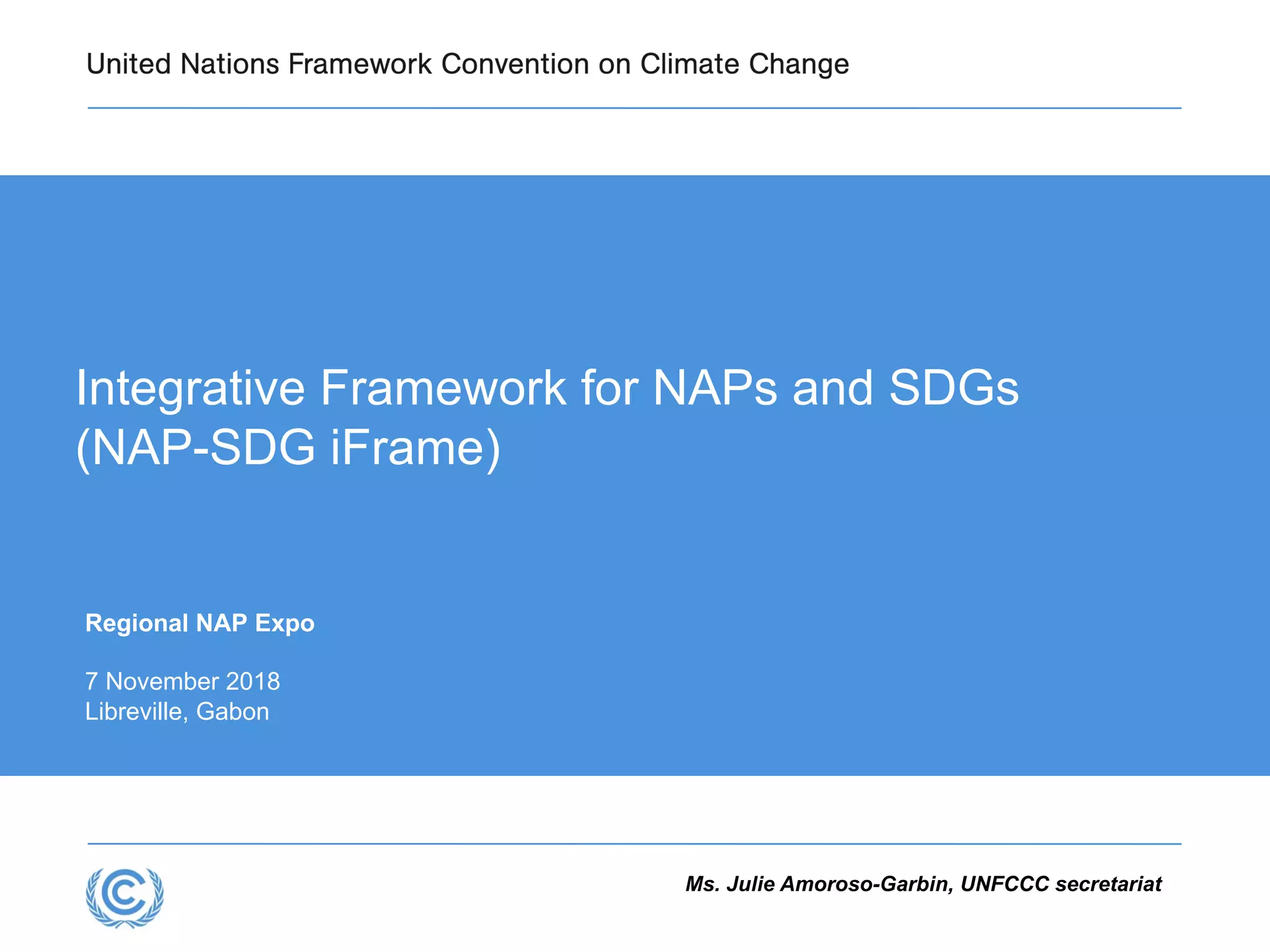 Integrative Framework for NAPs and SDGs (NAP-SDG iFrame) | PDF