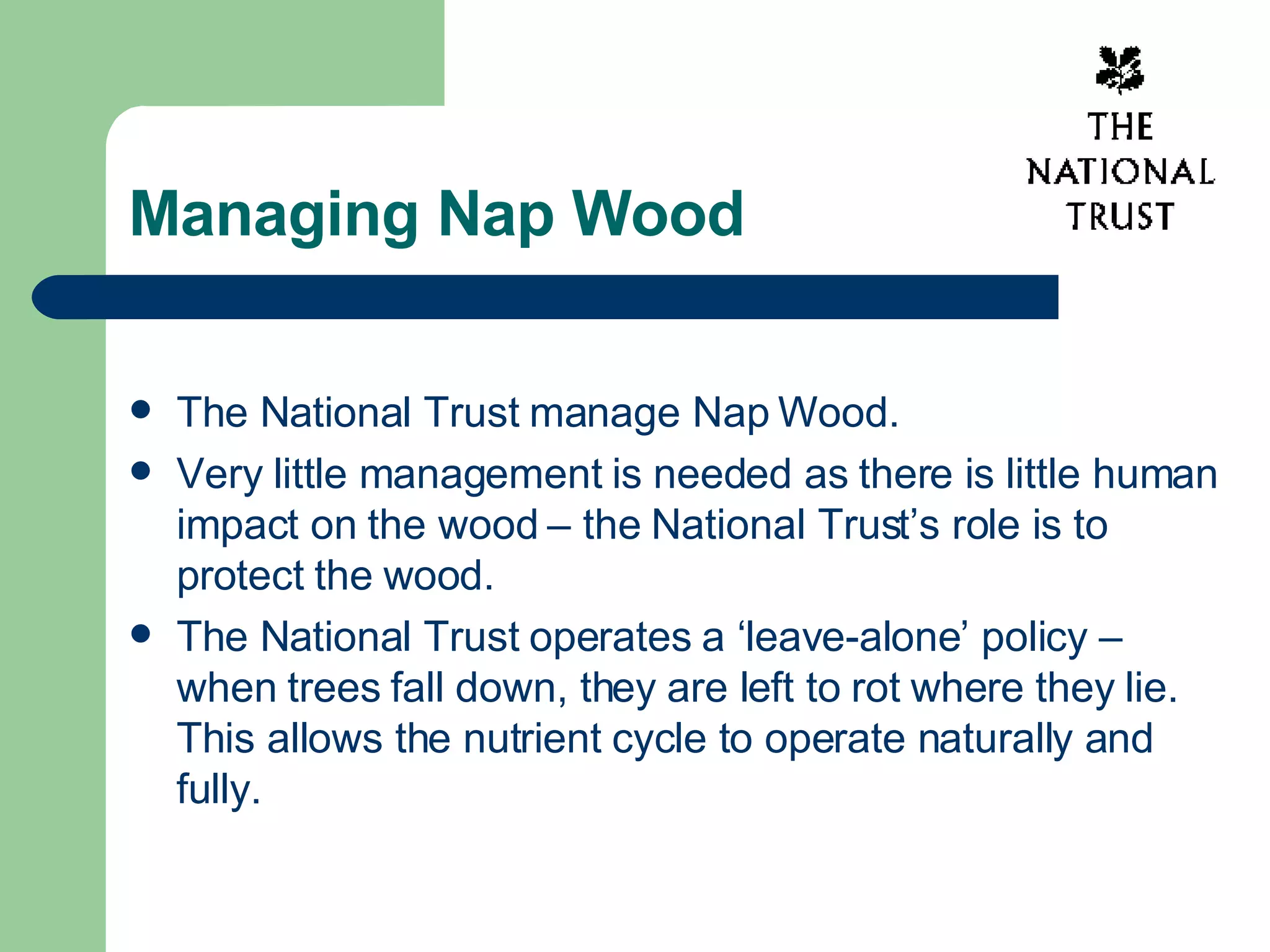 Nap Wood Introductory Presentation | PPT