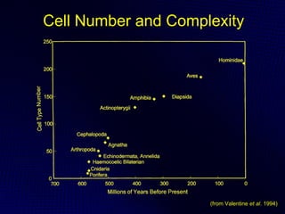Protein structural domains, the Tree of Life and the evolution of ...