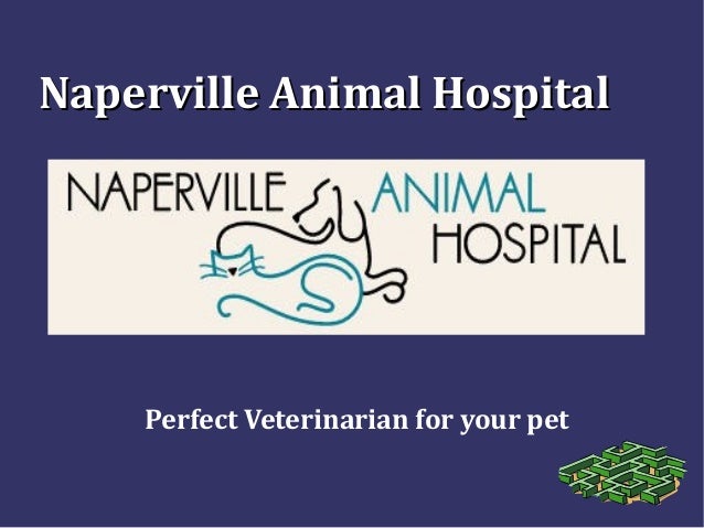 si animal hospital