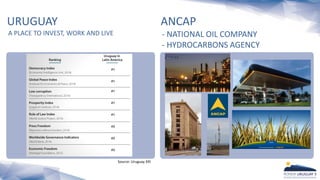 A PLACE TO INVEST, WORK AND LIVE
URUGUAY
- NATIONAL OIL COMPANY
- HYDROCARBONS AGENCY
ANCAP
Source: Uruguay XXI
 