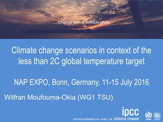 Climate change scenarios in context of the
less than 2C global temperature target
NAP EXPO, Bonn, Germany, 11-15 July 2016
Wilfran Moufouma-Okia (WG1 TSU)
Change with a suitable photo
 