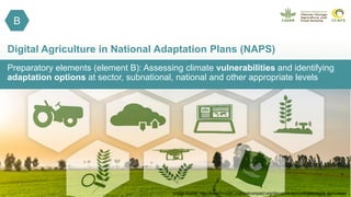 Preparatory elements (element B): Assessing climate vulnerabilities and identifying
adaptation options at sector, subnational, national and other appropriate levels
Digital Agriculture in National Adaptation Plans (NAPS)
Image source: http://breakthrough.unglobalcompact.org/disruptive-technologies/digital-agriculture/
B
 