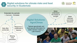 Digital solutions for climate risks and food
security in Guatemala
B
Digital Solutions:
AgroClimas
Tailored agroclimatic and
food security information for
better decision making in
Latin America
Extended dry periods
– Canícula – increase
Better
understand
the impact of
drought Make
informed
and timely
decisions
Response is
unplanned &
reactive
Missing
crisis
prevention
Help often
comes late
Image source: http://cgspace.cgiar.org/rest/bitstreams/165339/retrieve
 