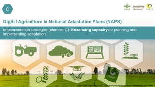 Implementation strategies (element C): Enhancing capacity for planning and
implementing adaptation
Digital Agriculture in National Adaptation Plans (NAPS)
Image source: http://breakthrough.unglobalcompact.org/disruptive-technologies/digital-agriculture/
C
 