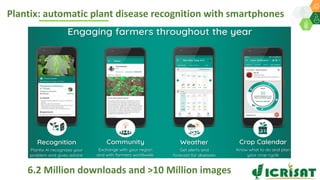 Plantix: automatic plant disease recognition with smartphones
6.2 Million downloads and >10 Million images
 