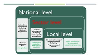 National level
National level
planning and
budgeting
National
Programmes
National
Adaptation
Plan
(incl. agriculture)
Sector level
Sectoral
planning and
budgeting
Sector-specific
programmes
(Climate Smart)
Agriculture
Strategy (incl.
adaptation)
Local level
Sub-national/municipal
level planning and
budgeting
Programmes and
projects
Impact evaluation of
agriculture and
adaptation programmes
 