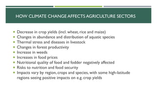 HOW CLIMATE CHANGE AFFECTS AGRICULTURE SECTORS
 Decrease in crop yields (incl. wheat, rice and maize)
 Changes in abundance and distribution of aquatic species
 Thermal stress and diseases in livestock
 Changes in forest productivity
 Increase in weeds
 Increases in food prices
 Nutritional quality of food and fodder negatively affected
 Risks to nutrition and food security
 Impacts vary by region, crops and species, with some high-latitude
regions seeing positive impacts on e.g. crop yields
 