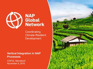 Coordinating
Climate-Resilient
Development
Vertical Integration in NAP
Processes
COP22, Marrakech
November 8, 2016
 