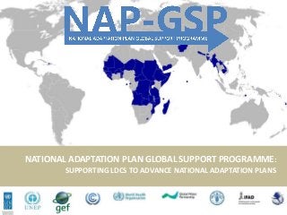 NATIONAL ADAPTATION PLAN GLOBAL SUPPORT PROGRAMME:
SUPPORTING LDCS TO ADVANCE NATIONAL ADAPTATION PLANS

 