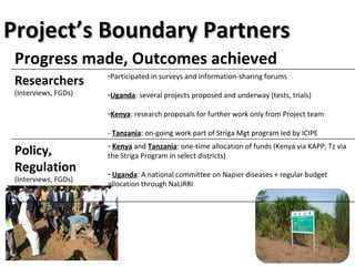 Planning for and monitoring outcomes in action-research Projects: The Napier grass diseases project