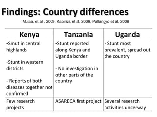 Planning for and monitoring outcomes in action-research Projects: The Napier grass diseases project