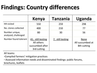 Planning for and monitoring outcomes in action-research Projects: The Napier grass diseases project