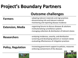 Planning for and monitoring outcomes in action-research Projects: The Napier grass diseases project