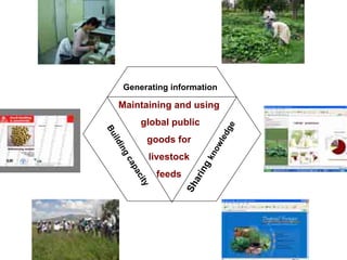 Raising awareness of Napier grass diseases