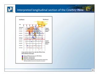 Interpreted longitudinal section of the Cowboy Zone




                                                      38
 