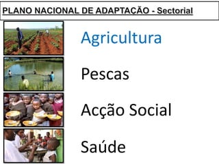 Agricultura
Acção	Social
Pescas
Saúde
 