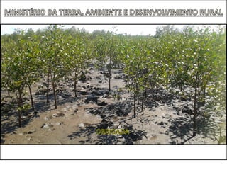 Mozambique National Adaptation Roadmap Training