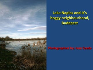 Lake Naplas and it’s boggy neighbourhood, Budapest Photographed by: Ivan Szedo 