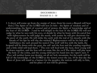 DECEMBER 1
ISAIAH 11: 1 - 10

1 A shoot will come up from the stump of Jesse; from his roots a Branch will bear
fruit.2 The Spirit of the LORD will rest on him-- the Spirit of wisdom and of
understanding, the Spirit of counsel and of power, the Spirit of knowledge and of
the fear of the LORD-- 3 and he will delight in the fear of the LORD. He will not
judge by what he sees with his eyes, or decide by what he hears with his ears;4 but
with righteousness he will judge the needy, with justice he will give decisions for
the poor of the earth. He will strike the earth with the rod of his mouth; with the
breath of his lips he will slay the wicked.5 Righteousness will be his belt and
faithfulness the sash around his waist.6 The wolf will live with the lamb, the
leopard will lie down with the goat, the calf and the lion and the yearling together;
and a little child will lead them. 7 The cow will feed with the bear, their young will
lie down together, and the lion will eat straw like the ox.8 The infant will play near
the hole of the cobra, and the young child put his hand into the viper's nest. 9
They will neither harm nor destroy on all my holy mountain, for the earth will be
full of the knowledge of the LORD as the waters cover the sea. 10 In that day the
Root of Jesse will stand as a banner for the peoples; the nations will rally to
him, and his place of rest will be glorious.

 