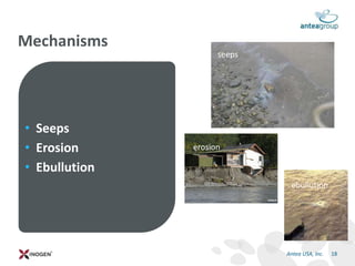 • Seeps
• Erosion
• Ebullution
Mechanisms
18Antea USA, Inc.
seeps
erosion
ebullution
 